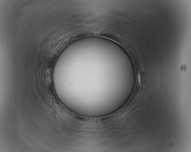 X0000110731347200906121301