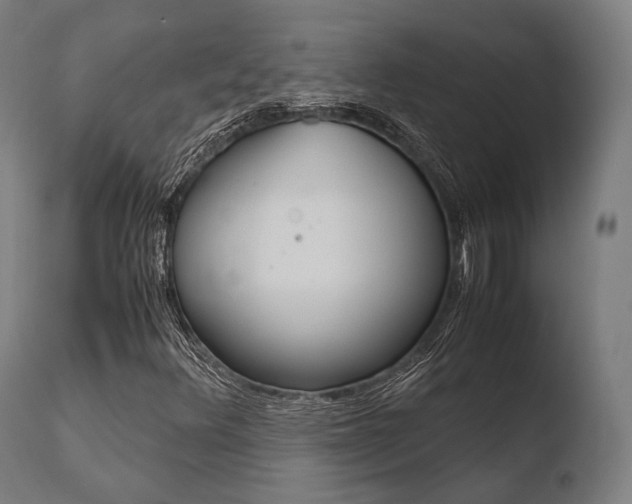 X0000110731348200906121301