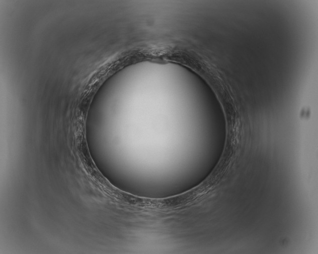 X0000110731349200906121301