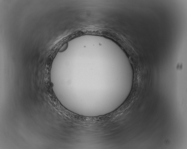 X0000110731350200906121301