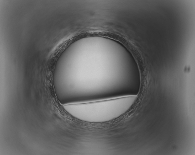 X0000110731351200906121301