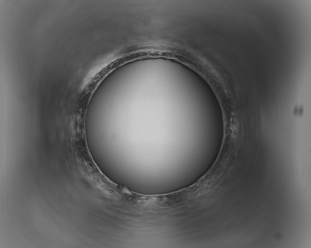 X0000110731352200906121301