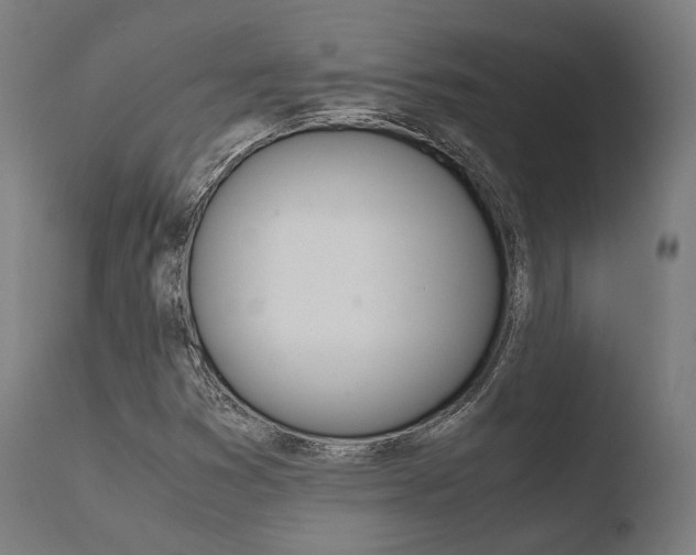 X0000110731353200906121301