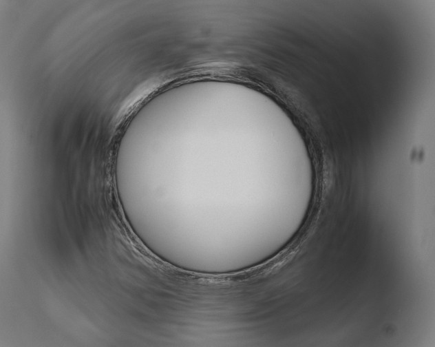 X0000110731354200906121301