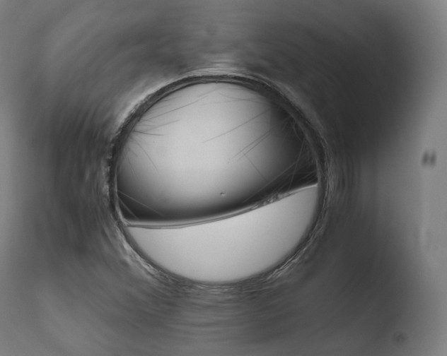 X0000110731356200906121301
