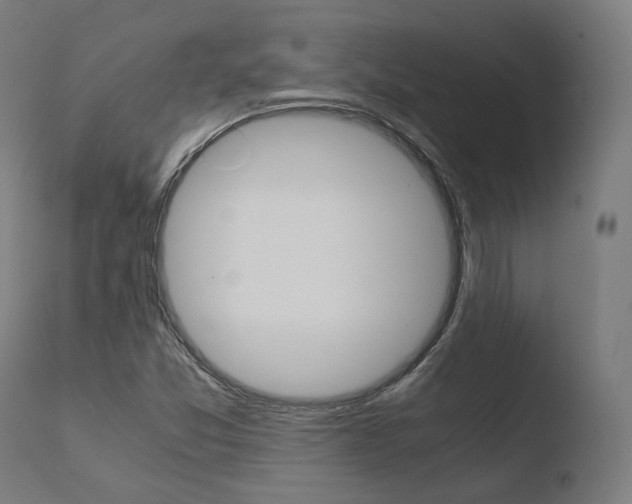 X0000110731357200906121301