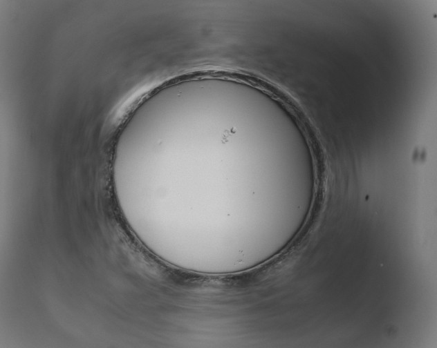 X0000110731359200906121301