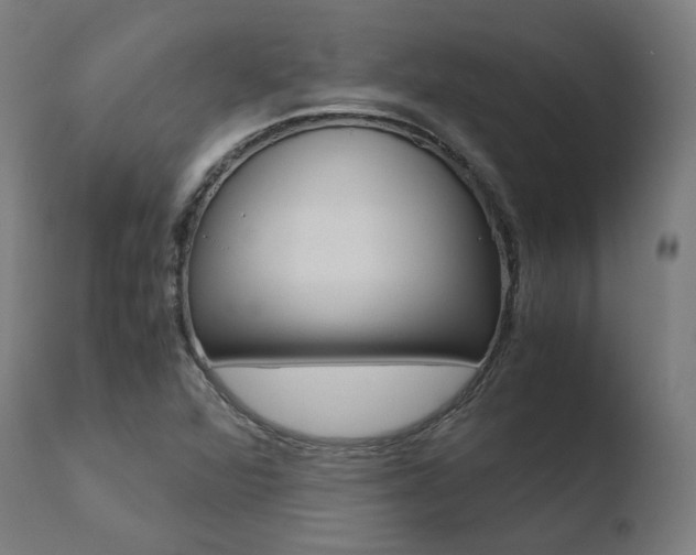 X0000110731360200906121301