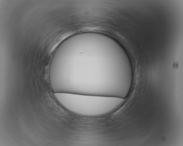 X0000110731361200906121301