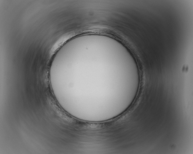 X0000110731362200906121301