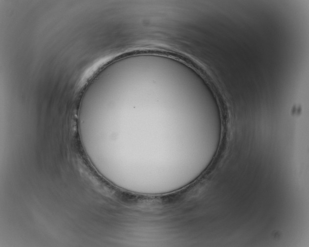 X0000110731363200906121301
