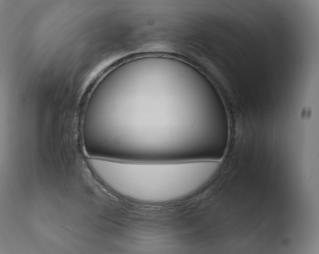 X0000110731364200906121301