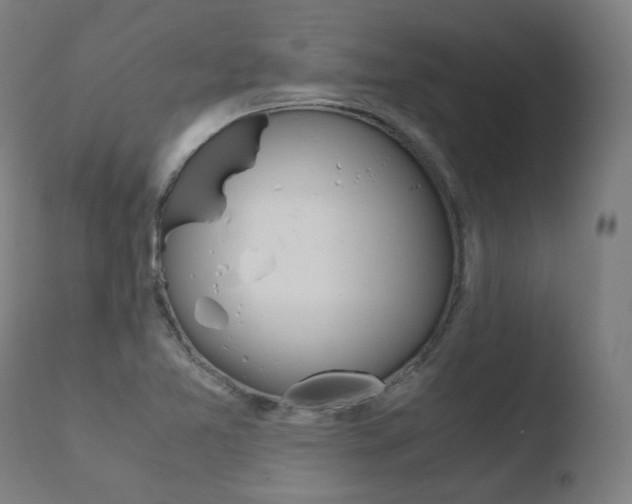 X0000110731365200906121300