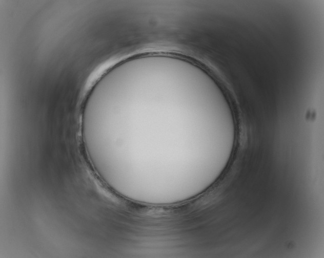 X0000110731366200906121300