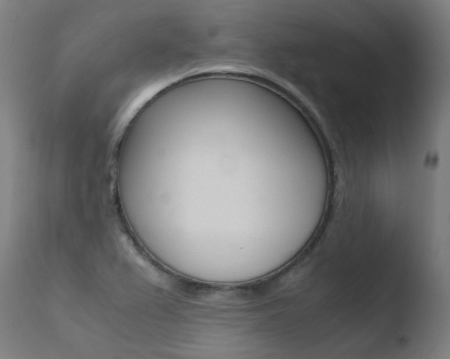 X0000110731367200906121300
