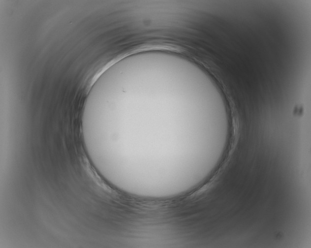 X0000110731369200906121300