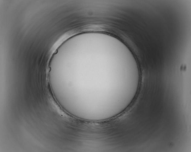 X0000110731370200906121300