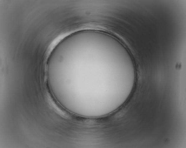 X0000110731371200906121300