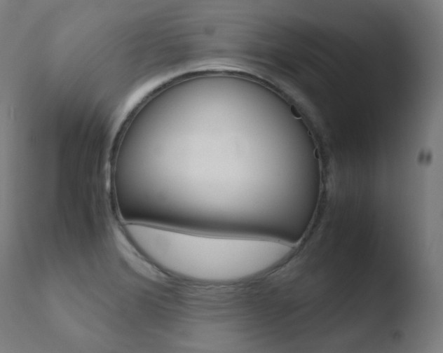 X0000110731372200906121300