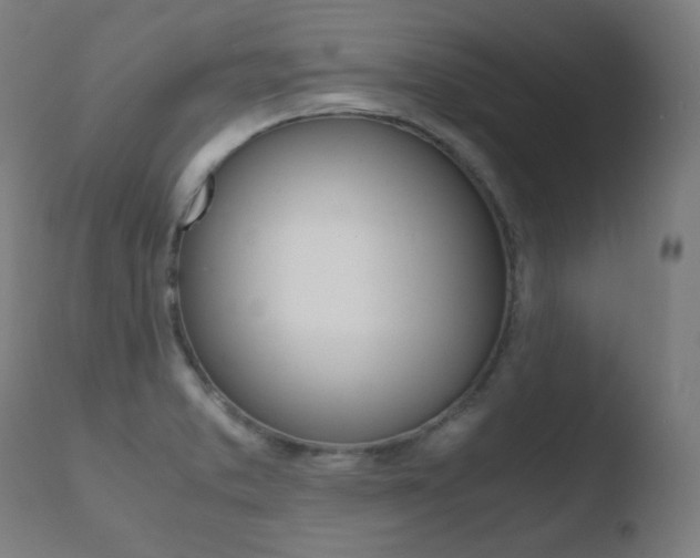 X0000110731373200906121300