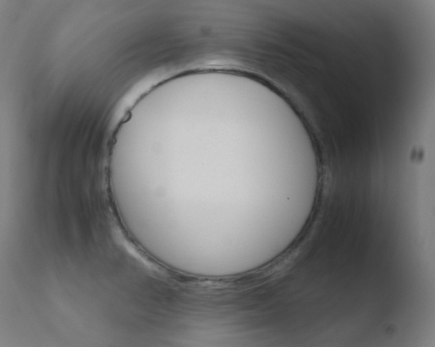 X0000110731374200906121300