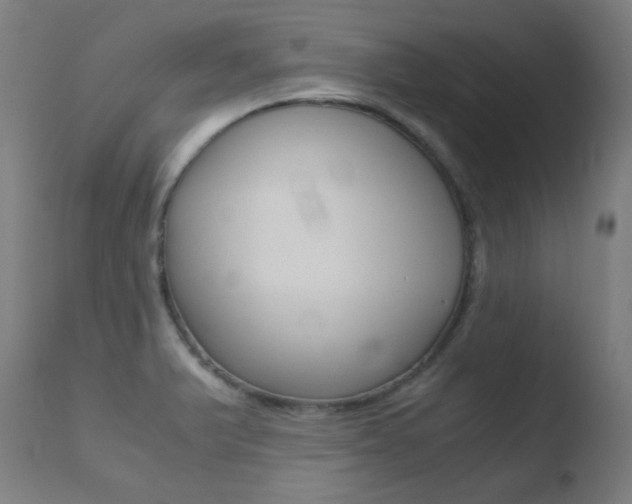 X0000110731375200906121300