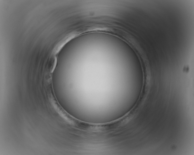 X0000110731377200906121300