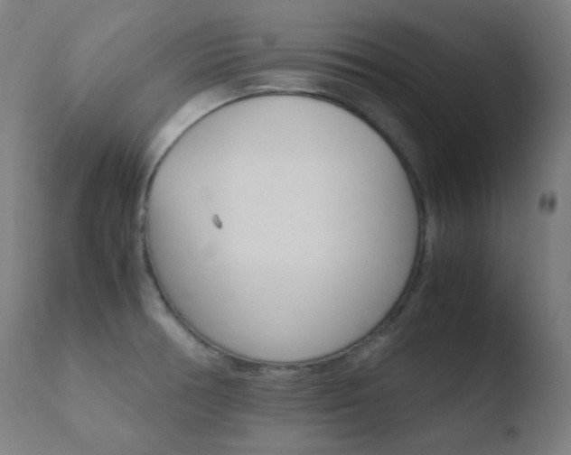 X0000110731378200906121300