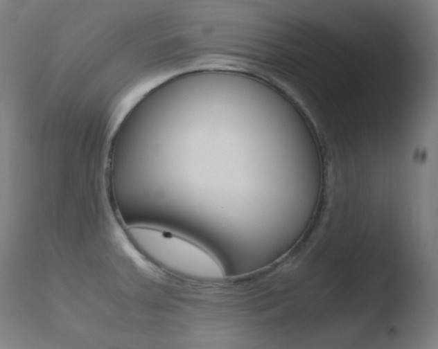 X0000110731379200906121300