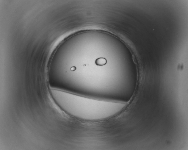 X0000110731380200906121300