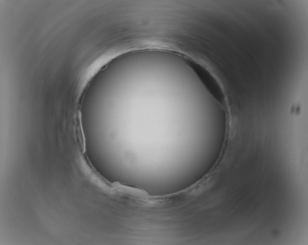X0000110731381200906121300