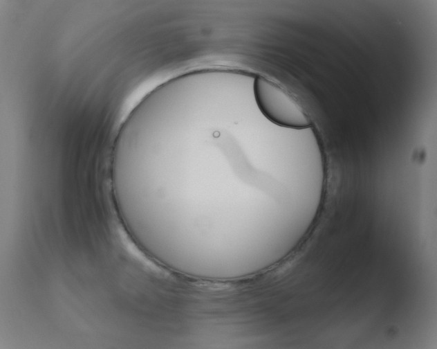 X0000110731382200906121300