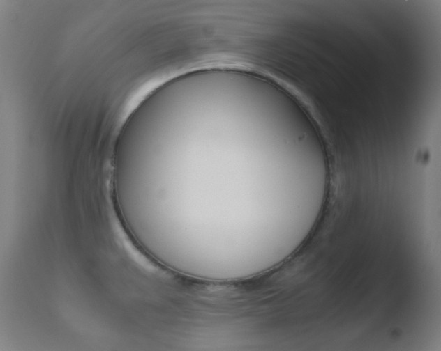 X0000110731383200906121300