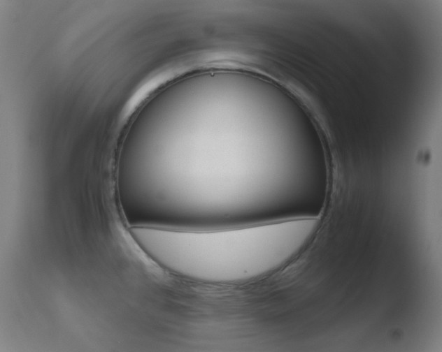X0000110731384200906121300