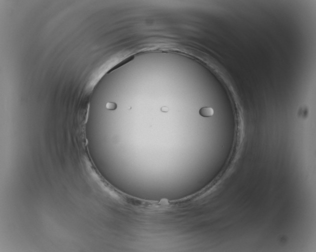 X0000110731385200906121300