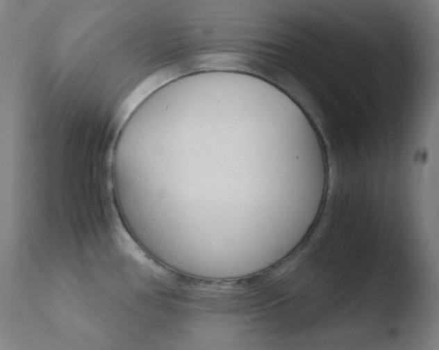 X0000110731386200906121300