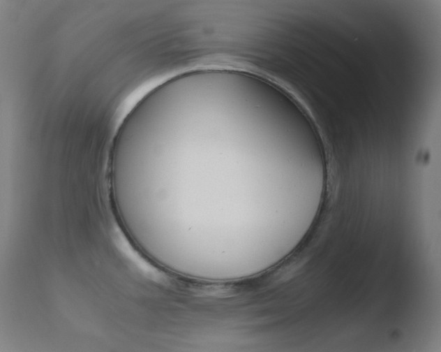 X0000110731387200906121300
