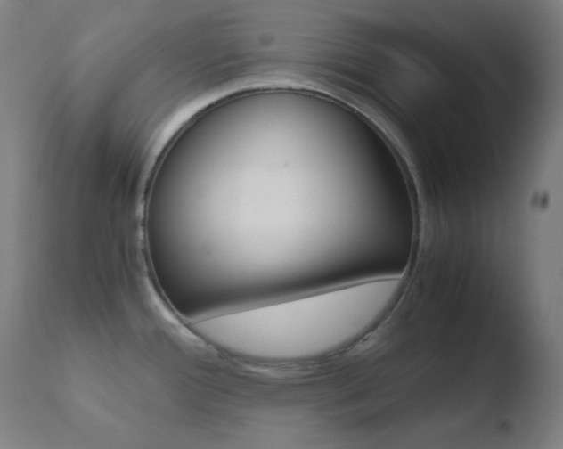 X0000110731388200906121300