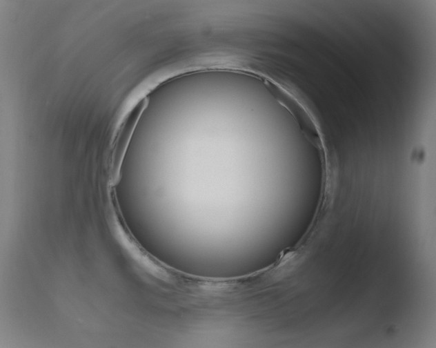X0000110731389200906121300