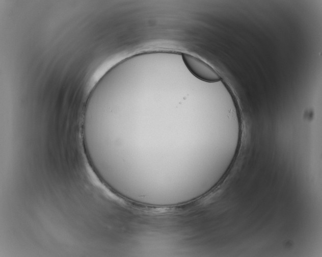 X0000110731390200906121300