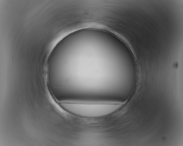 X0000110731391200906121300