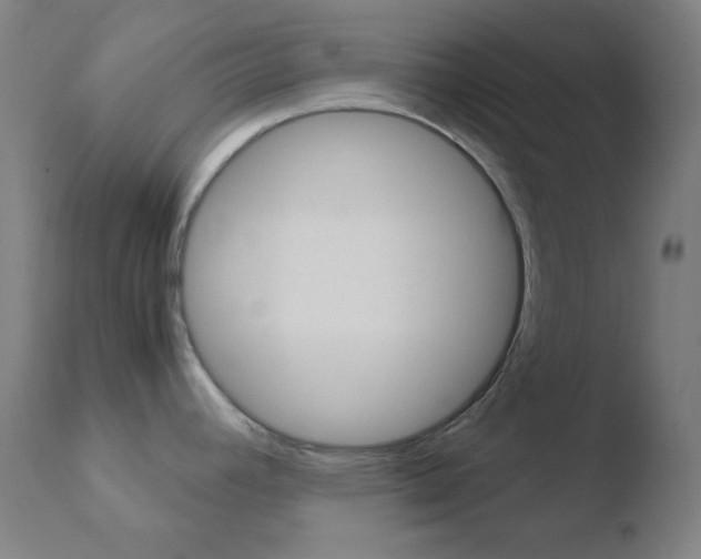 X0000110731392200906121300