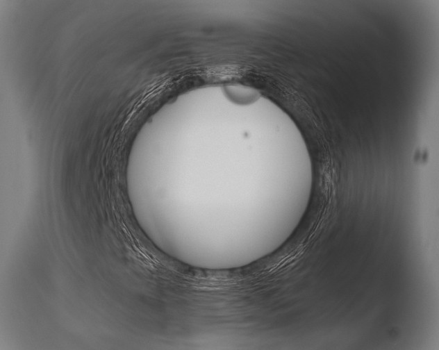 X0000110731393200906121259