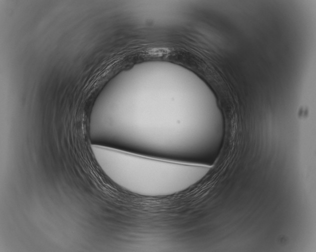 X0000110731394200906121259