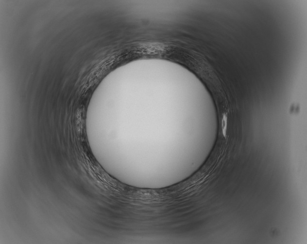 X0000110731395200906121259