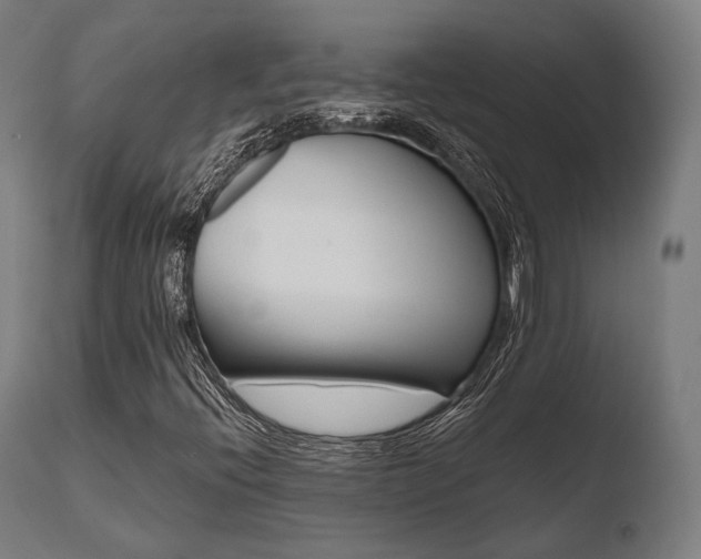 X0000110731396200906121259