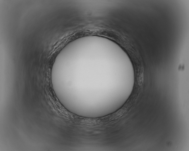 X0000110731397200906121300