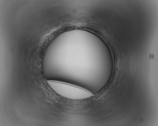 X0000110731398200906121300