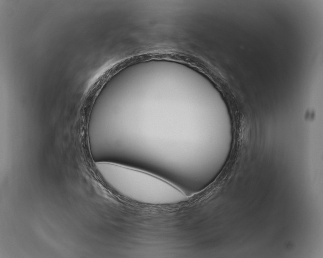 X0000110731400200906121300