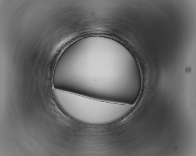 X0000110731402200906121300